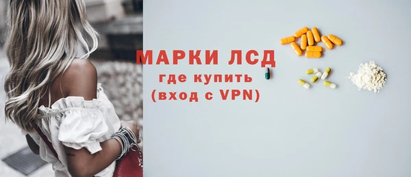 твердый Шадринск