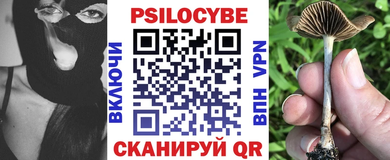 Псилоцибиновые грибы прущие грибы  купить наркоту  Североморск 